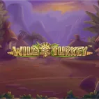 Wild Turkey