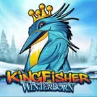 Kingfisher Winterborn