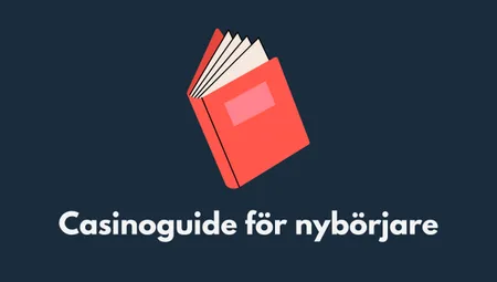 Casinoguide för nybörjare