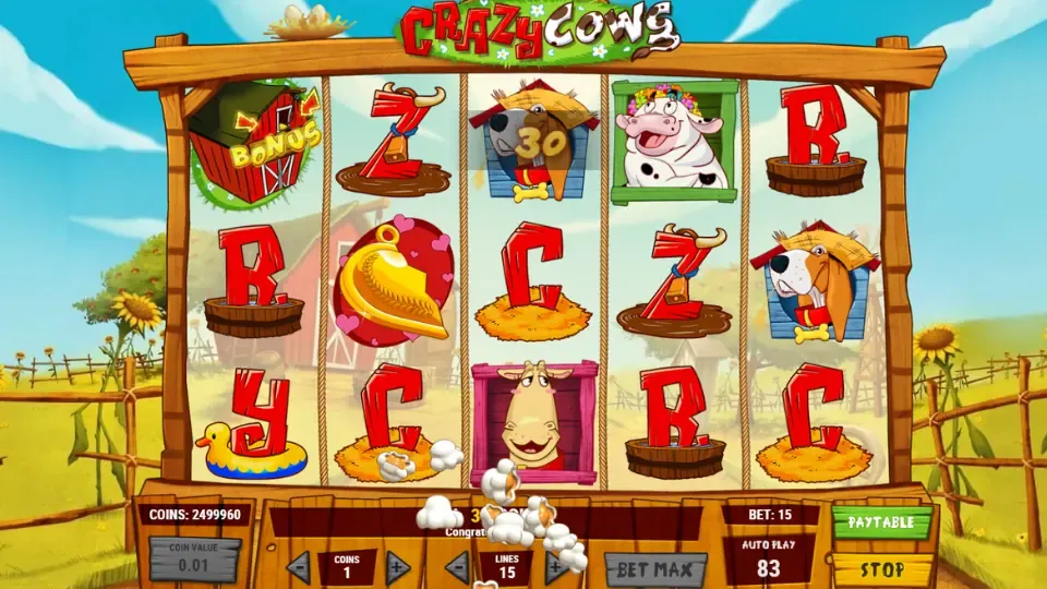 Crazy Cows vinst