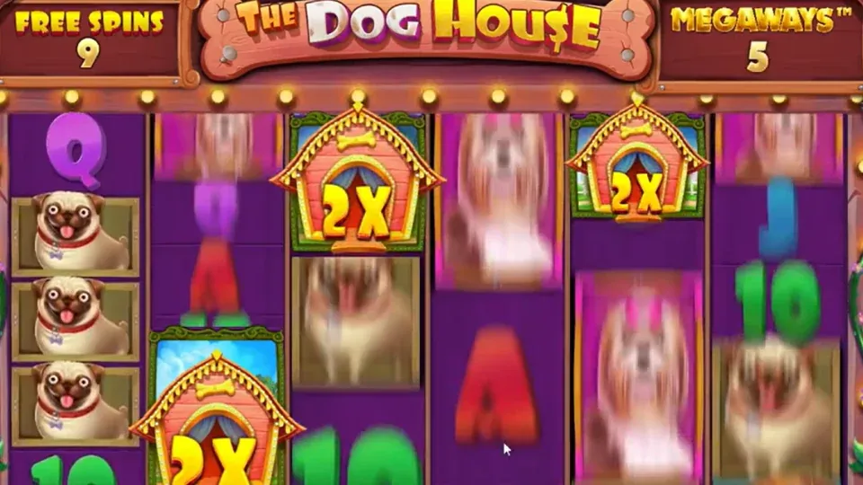 The Dog House Megaways bonus