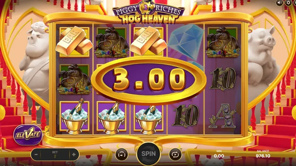 Piggy Riches 3 vinst
